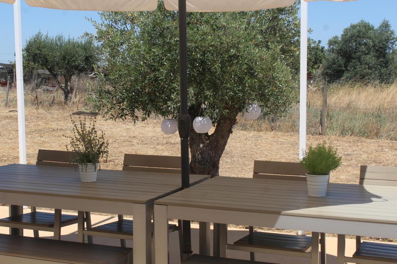Casa Do Roxo - Eco Design Country House Santa Vitoria Exterior photo